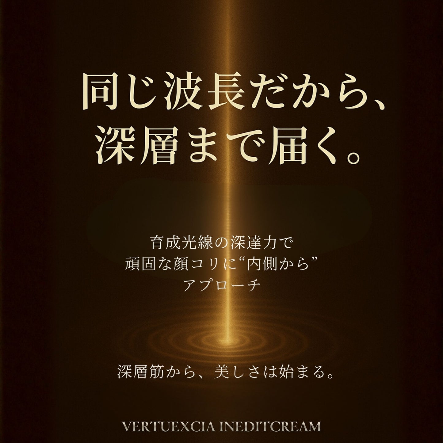 VERTU EXCIA INEDIT CREAM　200g