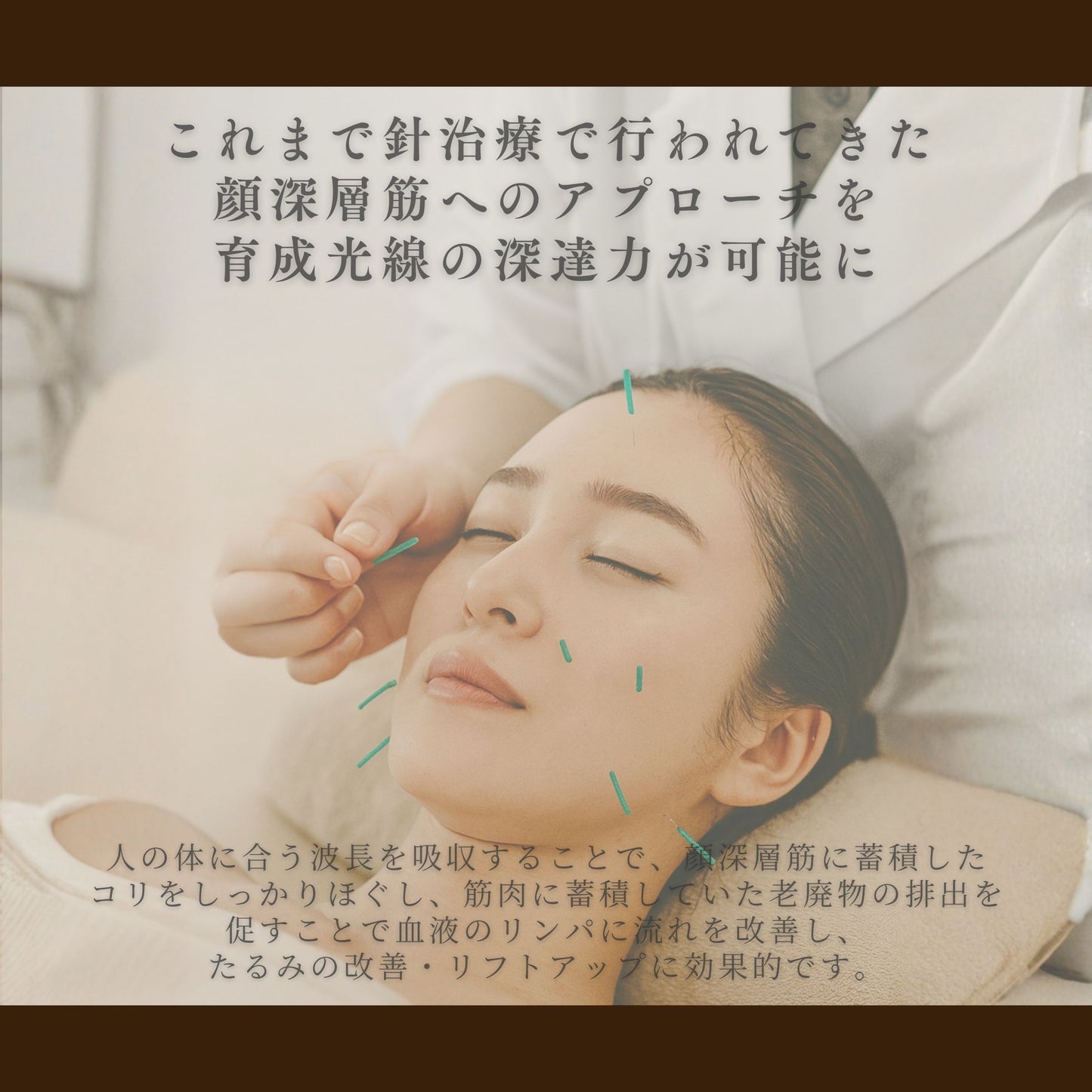 VERTU EXCIA INEDIT CREAM　200g