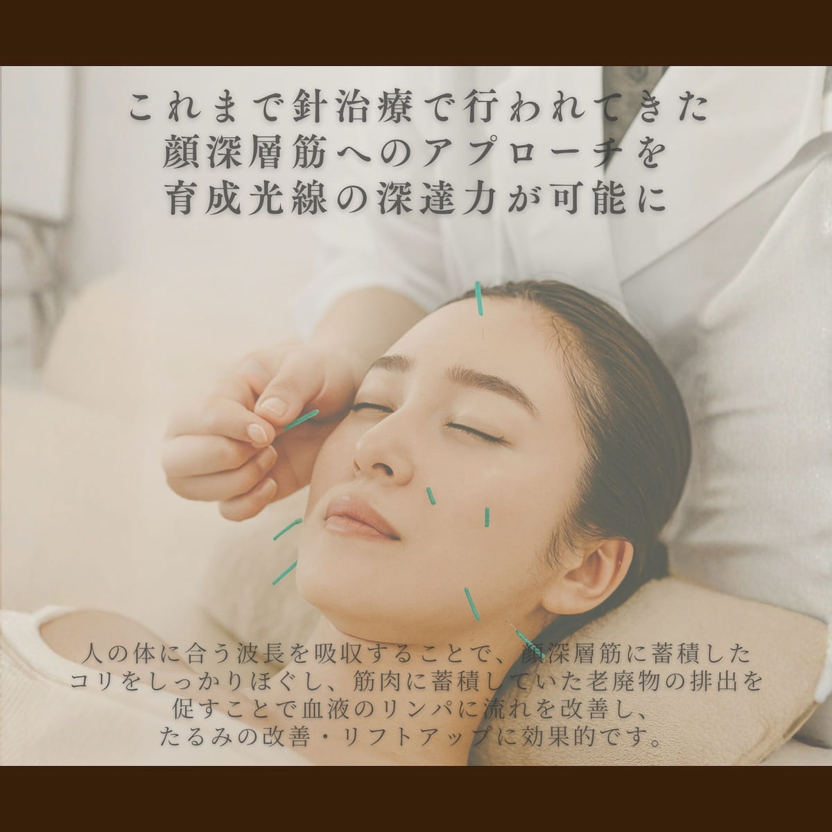 VERTU EXCIA INEDIT CREAM　200g